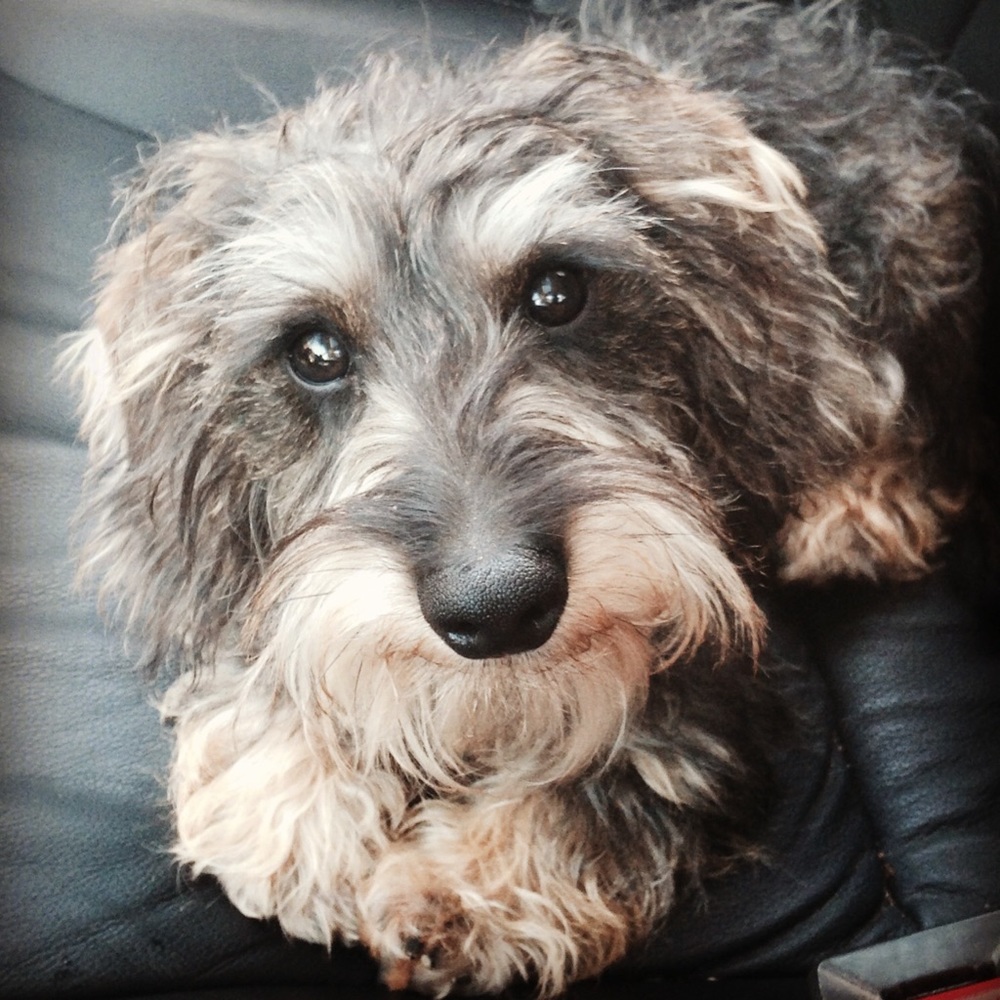 Meet your Posher, Meredith